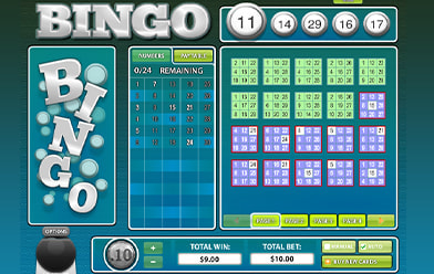 پاکستانی آن لائن بنگو سائٹ پر 30 Ball Bingo