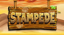 Stampede آن لائن سلاٹ